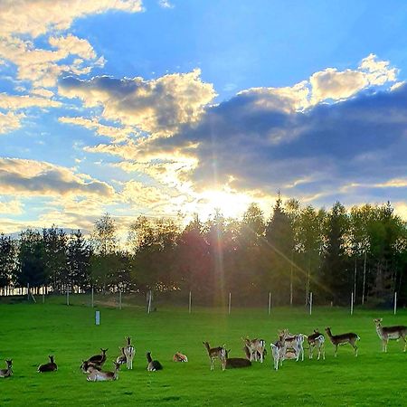 Przystan Nad Zatoka - Gospodarstwo Agroturystyczne Lubieszewo  Buitenkant foto
