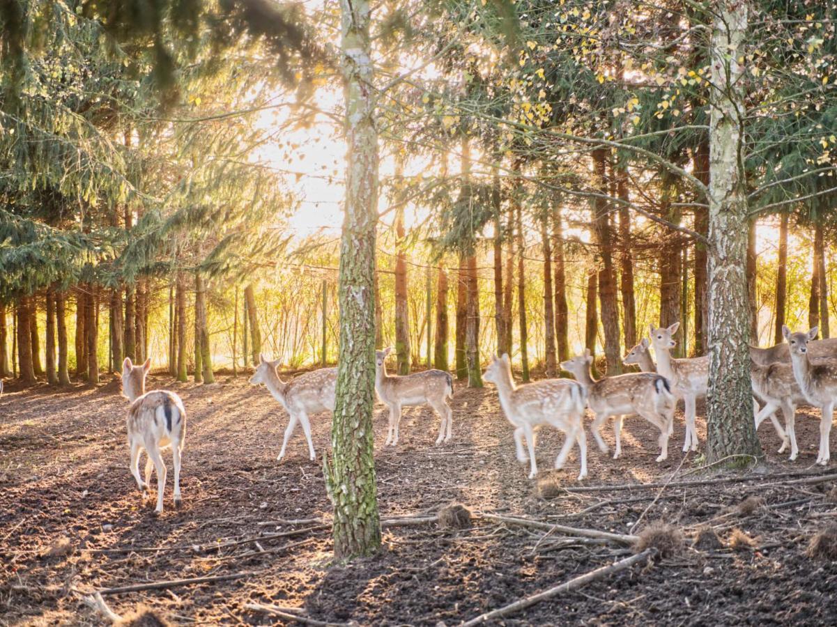 Przystan Nad Zatoka - Gospodarstwo Agroturystyczne Lubieszewo  Buitenkant foto