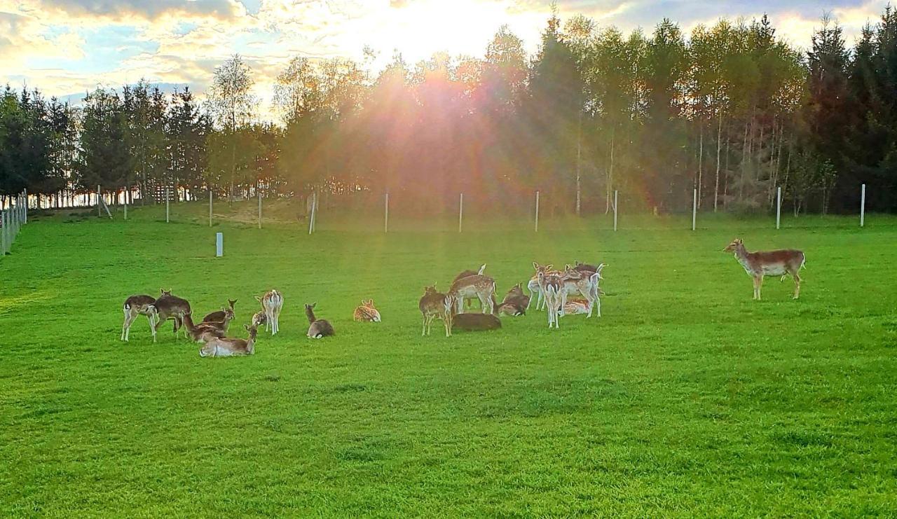 Przystan Nad Zatoka - Gospodarstwo Agroturystyczne Lubieszewo  Buitenkant foto