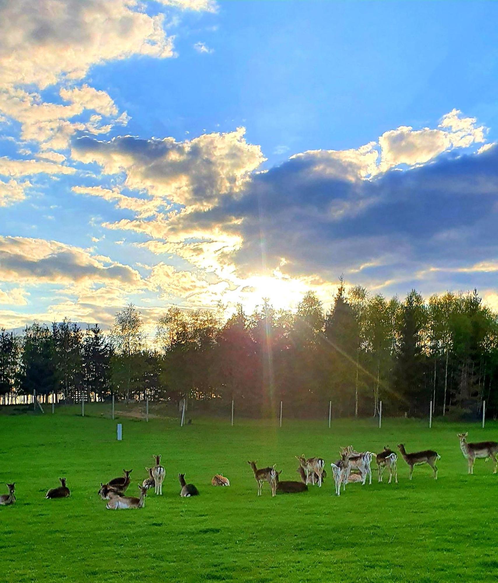 Przystan Nad Zatoka - Gospodarstwo Agroturystyczne Lubieszewo  Buitenkant foto