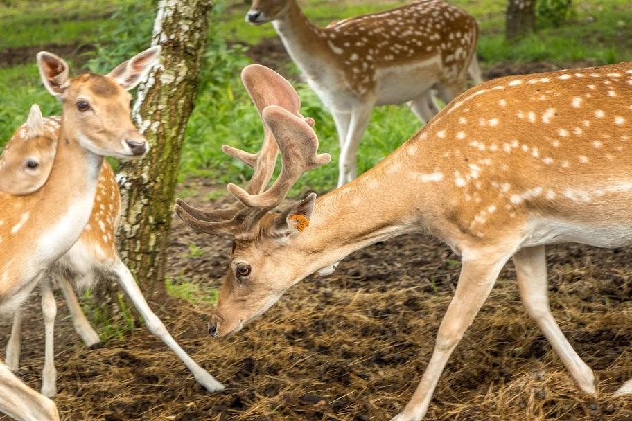 Przystan Nad Zatoka - Gospodarstwo Agroturystyczne Lubieszewo  Buitenkant foto